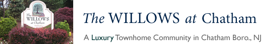 The Willows in Chatham Boro NJ Morris County Chatham Boro New Jersey MLS Search Real Estate Listings Homes For Sale Townhomes Townhouse Condos   Willows at Chatham NJ   Willow Chatham Borough